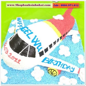 Bánh Sinh Nhật Máy Bay - MA03